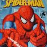 Spiderman_C